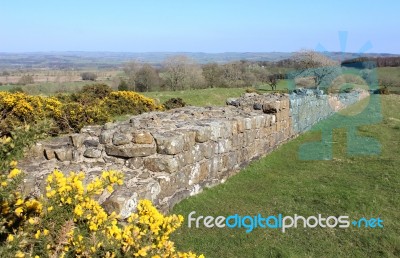 Hadrians Wall Stock Photo