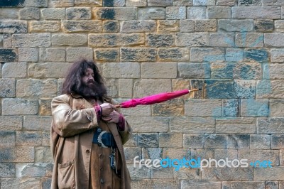 Hagrid Entertaining The Crowds At Alnwick Castle Stock Photo