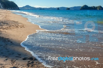 Hahei, New Zealand - February 8 : A Summer Evening At Hahei Beac… Stock Photo