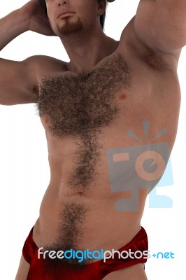 Hairy Stock Image