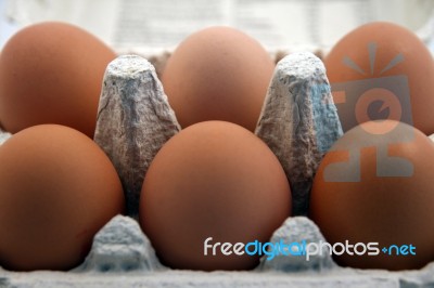 Half A Dozen Eggs Stock Photo