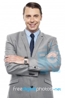 Half Length Portrait Of Handsome Male Executive Stock Photo