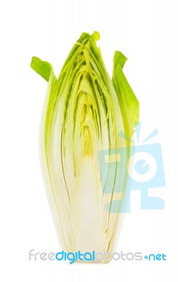 Half Of Chicory Isolated Stock Photo