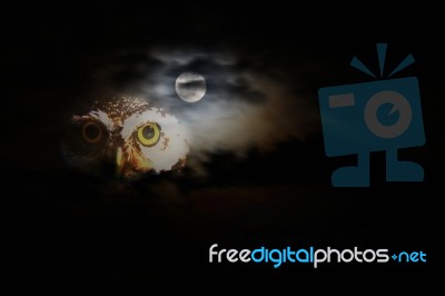 Halloween Background Stock Photo