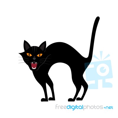 Halloween Growl Black Cat Stock Image