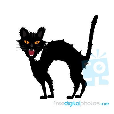 Halloween Growl Black Cat Stock Image