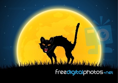 Halloween Growl Black Cat Moon Graveyard Stock Image