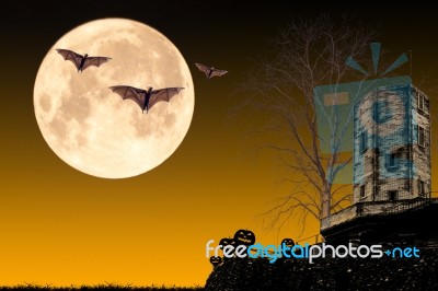 Halloween Night Concept Stock Photo