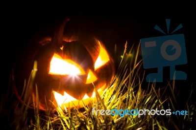 Halloween Scary Face Pumpkin  On Black Background Stock Photo