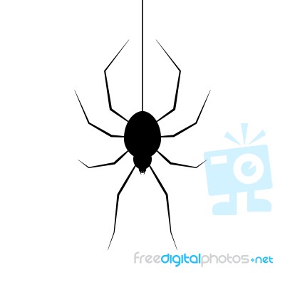 Halloween Spider Hanging Web Background Stock Image