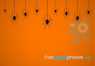 Halloween Spider Hanging Web Background Stock Image