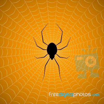 Halloween Spider Hanging Web Background Stock Image