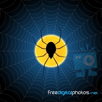 Halloween Spider Hanging Web Moon Background Stock Image