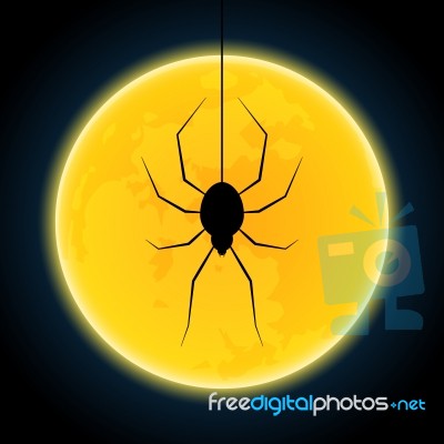 Halloween Spider Hanging Web Moon Background Stock Image