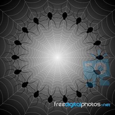 Halloween Spider Web  Stock Image