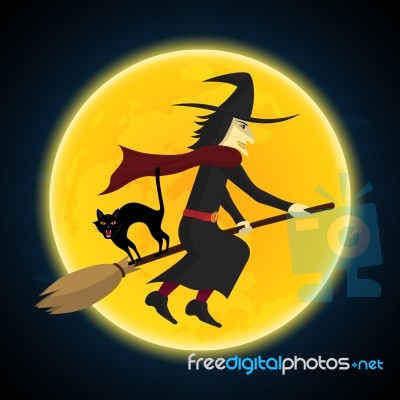 Halloween Witch Flying On Broom Growl Black Cat Stock Image