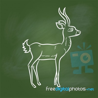 Hand Drawing Antelope Cartoon On Green Board - Illustratio Stock Image