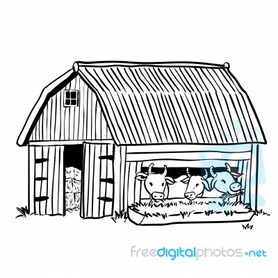 Hand Drawing Barn With Three Cows- Illustration Stock Image