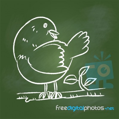 Hand Drawing Bird  On Green Board - Illustration Stock Image