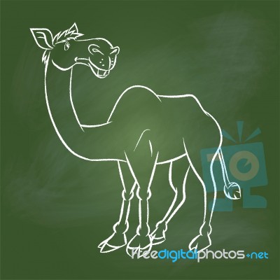 Hand Drawing Camel On Green Board - Illustration Stock Image