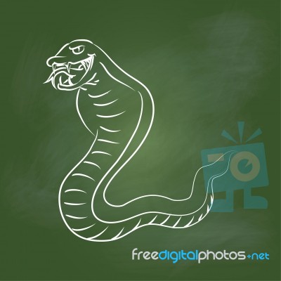 Hand Drawing Snake On Green Board - Illustration Stock Image