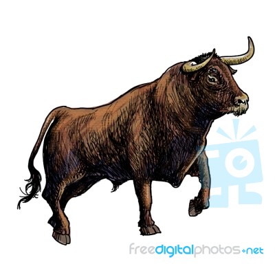 Hand Drawn Illustration Of Bull Stock Image