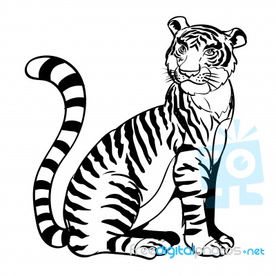 Hand Drawn Sitting Tiger- Illustration Stock Image