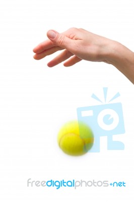 Hand Dropping Tennis Ball Stock Photo