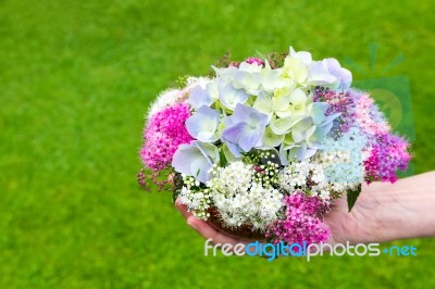 Hand Giving Bouquet Of Summer Flowers In Vase Stock Photo