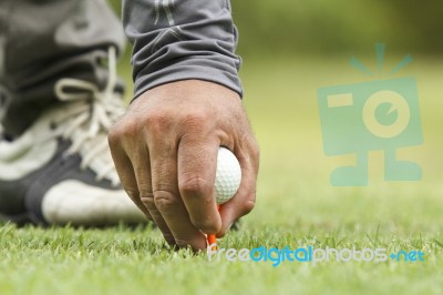 Hand Hold Golf Ball Stock Photo