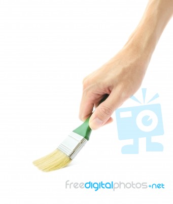 Hand Hold Green Handler Brush Painting On White Background Stock Photo