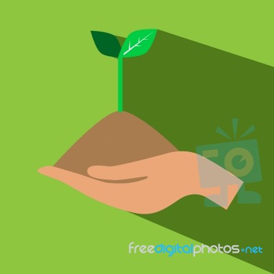 Hand Hold Plant  Icon Stock Image