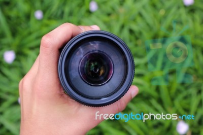 Hand Holding A Camera Lense With Green Plants And Flowers In The… Stock Photo