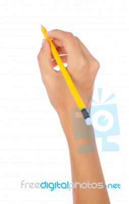 Hand Holding A Pencil Stock Photo