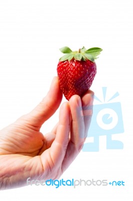 Hand Holding A Strawberry Stock Photo