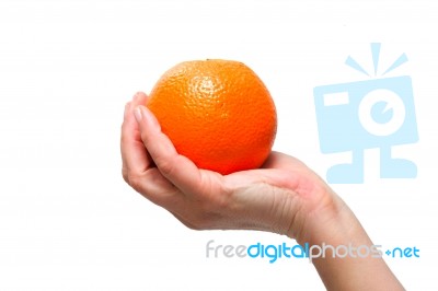 Hand Holding An Orange Stock Photo