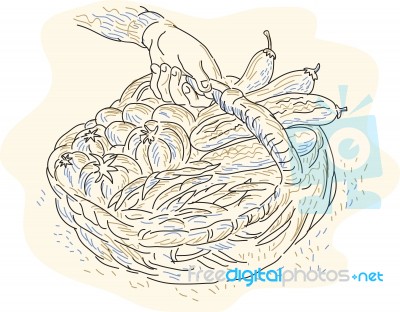 Hand Holding Basket Harvest Crops Stock Image