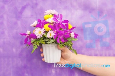 Hand Holding Bouquet Of Chrysanthemum And Orchid Flowers Isolate… Stock Photo