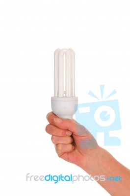 Hand Holding Bulb Stock Photo