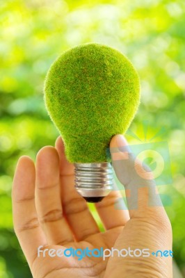 Hand Holding Eco Light Bulb Stock Photo