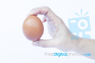 Hand Holding Egg Isolated On White Background Stock Photo