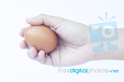 Hand Holding Egg Isolated On White Background Stock Photo