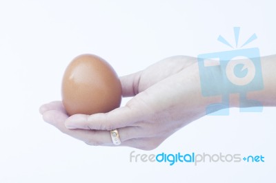 Hand Holding Egg Isolated On White Background Stock Photo