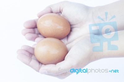 Hand Holding Eggs Isolated On White Background Isolated On White… Stock Photo