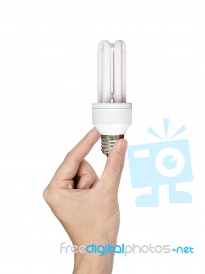 Hand Holding Energy Saving Light Bulb Stock Photo