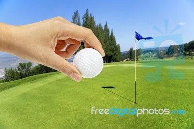 Hand Holding Golf Ball Stock Photo