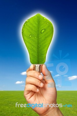 Hand Holding Green Bulb Stock Photo