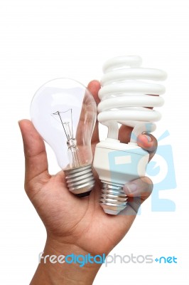 Hand Holding Lamp Stock Photo