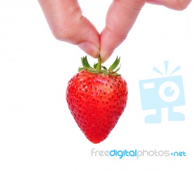 Hand Holding Red Strawberry Isolated On White Stock Photo