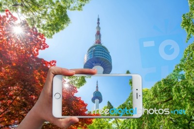 Hand Holding Smart Phone Take A Photo At Seoul Tower And Red Autumn Maple Leaves Stock Photo